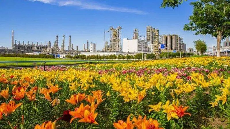 广东表面活性剂原料：揭秘其优势与对比分析