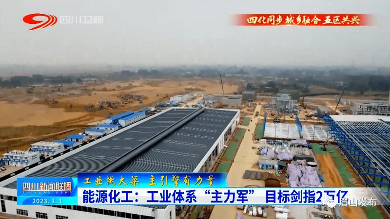 中药饮片防腐剂：如何正确选择与使用